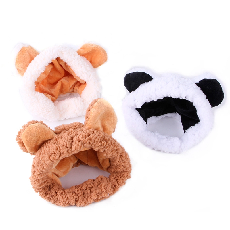 cute cats hats