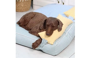 Venta al por mayor de 4305277 cama desmontable para perro con almohada, precio barato, proveedor al por mayor