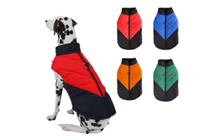 Ropa 4305344 para mascotas